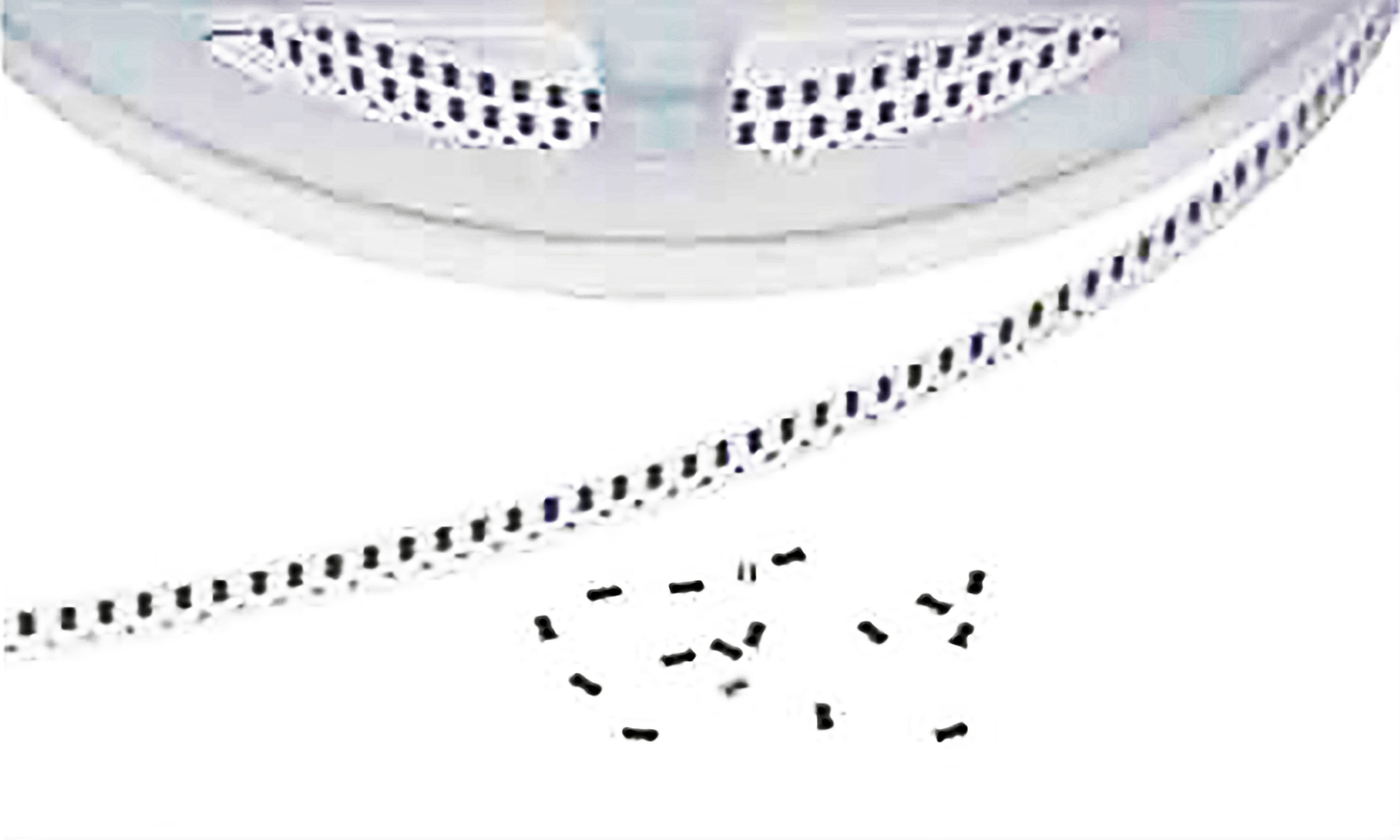 Thick Film Chip Resistors